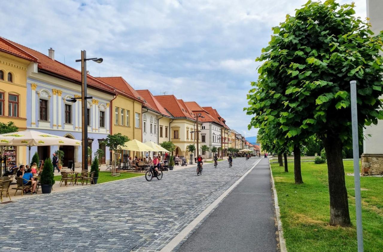 Apartment In A Historical House In The Center Of Levoča Exteriér fotografie