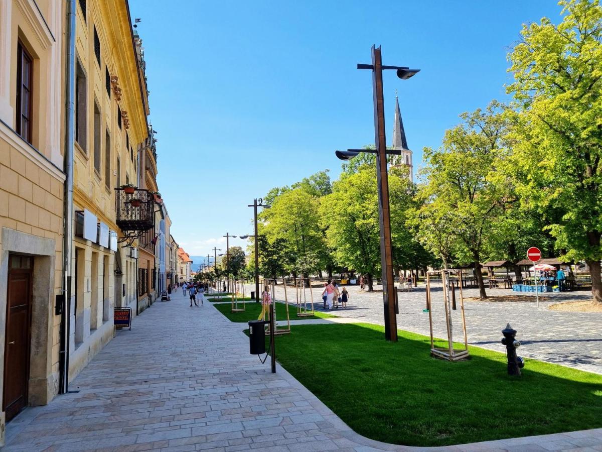Apartment In A Historical House In The Center Of Levoča Exteriér fotografie